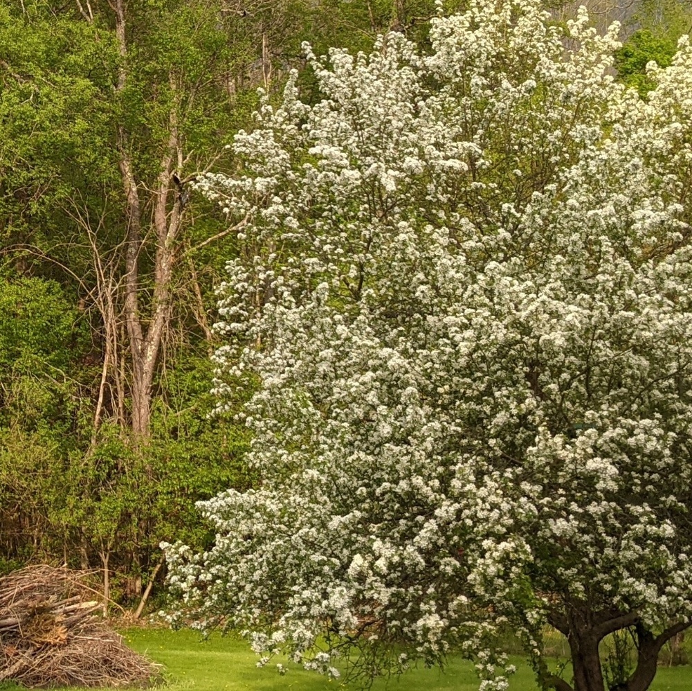 Meet your Posher, Bethany